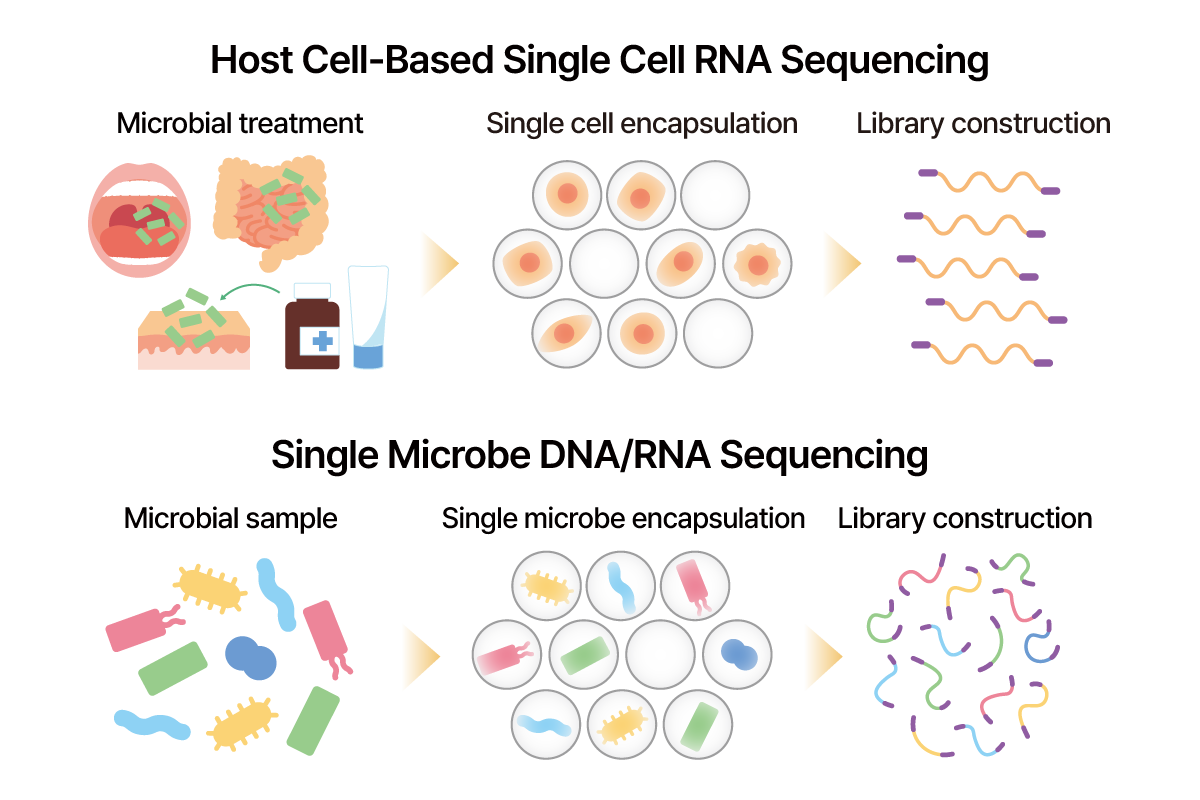 Single cell analysis for microbial research 모식도
