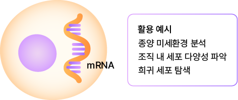 Gene Expression