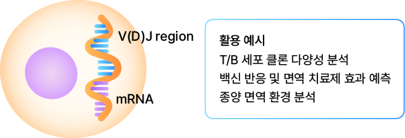 Gene Expression