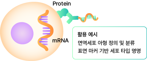 Gene Expression