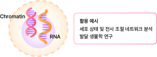 Gene Expression