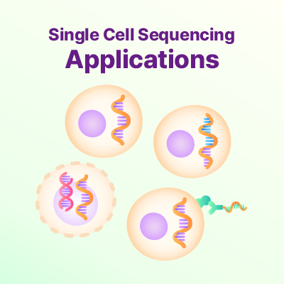 scRNA-seq 어플리케이션 가이드 대표 이미지